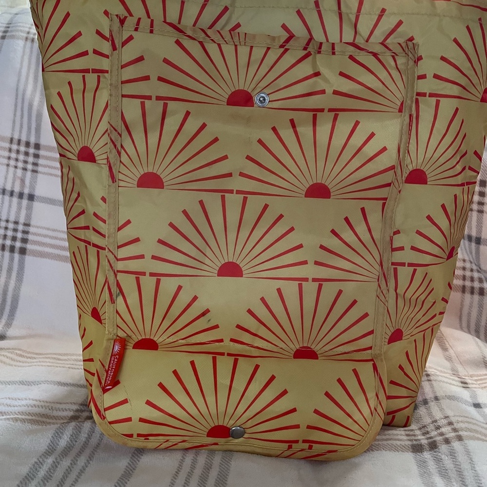 Stylish Red and Yellow hot and cold food bag.